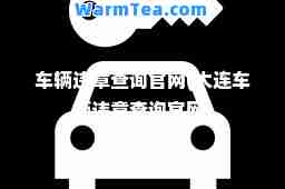 车辆违章查询官网(大连车辆违章查询官网)
