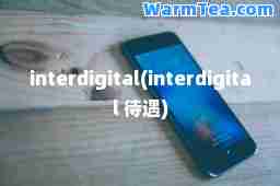 interdigital(interdigital 待遇)