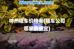 州租车价格表(租车公司哪家最便宜)