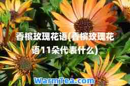香槟玫瑰花语(香槟玫瑰花语11朵代表什么)