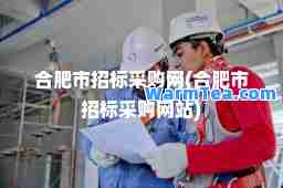 肥市招标采购网(肥市招标采购网站)