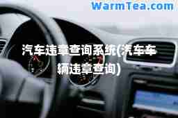汽车违章查询系统(汽车车辆违章查询)