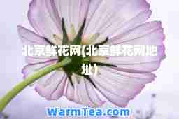 北京鲜花网(北京鲜花网地址)