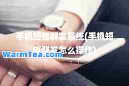 手机系统(手机怎么操作)