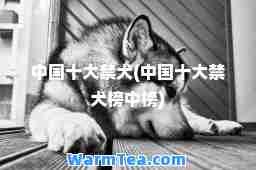 中国十大禁犬(中国十大禁犬榜中榜)