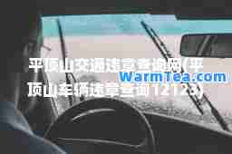 平顶山交通违章查询网(平顶山车辆违章查询12123)