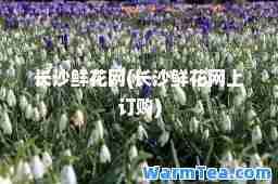 长沙鲜花网(长沙鲜花网上订购)