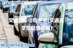交通违章信息查询(交通违章信息查询网)