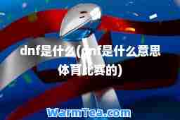 dnf是什么(dnf是什么意思体育比赛的)