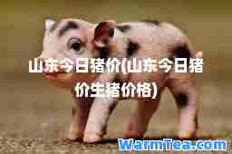 山东今日猪价(山东今日猪价生猪价格)