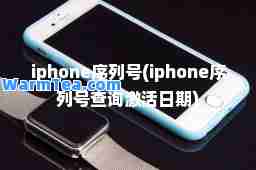 iphone序列号(iphone序列号查询激活日期)