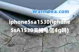 iphone5sa1530(iphone5sA1530支持电信4g吗)