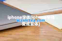 iphone字体(iphone字体变成繁体)