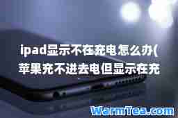 ipad显示不在充电怎么办(苹果充不进去电但显示在充怎么办)