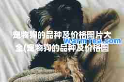 宠物狗的品种及价格图片大全(宠物狗的品种及价格图片大全中型)