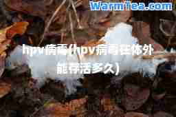 hpv病毒(hpv病毒在体外能存活多久)