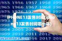 IPHONE13发售时间(iphone13发售时间哪一年)