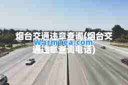 烟台交通违章查询(烟台交通违章查询电话)