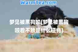 梦见被黑狗咬(梦见被黑狗咬着不放是什么征兆)