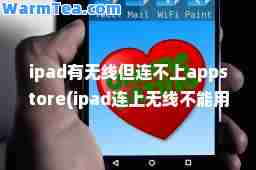 ipad有无线但连不上appstore(ipad连上无线不能用)