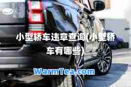 小型轿车违章查询(小型轿车有哪些)