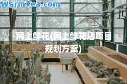 网上鲜花(网上鲜花店项目规划方案)