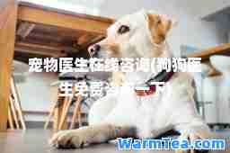 宠物医生在线咨询(狗狗医生免费咨询一下)