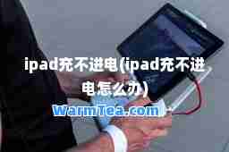 ipad充不进电(ipad充不进电怎么办)