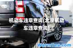 机动车违章查询(北京机动车违章查询)