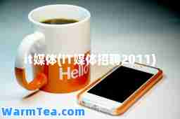 it媒体(IT媒体招聘2011)