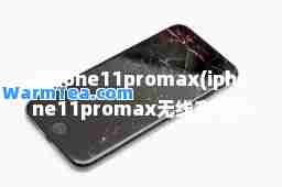 iphone11promax(iphone11promax无线充电多少w)