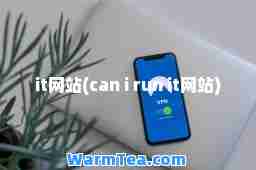 it网站(can i run it网站)