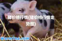猪价格行情(猪价格行情走势图)