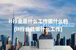 it行业是什么工作做什么的(it行业能做什么工作)