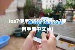 ios7使用攻略(iphone7使用手册中文版)