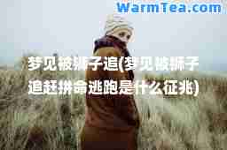 梦见被狮子追(梦见被狮子追赶拼逃跑是什么征兆)
