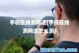 手机在线测网速(手机在线测网速怎么测)