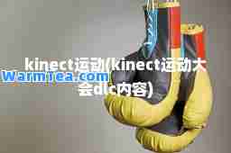 kinect运动(kinect运动大会dlc内容)
