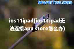 ios11ipad(ios11ipad无法连接app store怎么办)