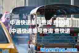 中通快递单号查询 查快递(中通快递单号查询 查快递物流)