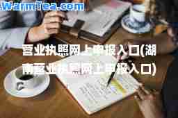 营业执照网上申报入口(湖南营业执照网上申报入口)