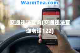 交通违法查询(交通违法查询电话122)
