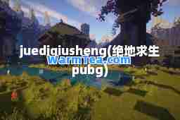 juediqiusheng(绝地求生pubg)