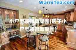 小户型装修效果图(房子小户型装修效果图)