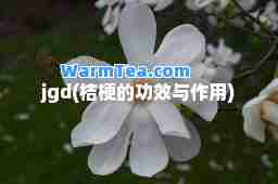 jgd(桔梗的功效与作用)