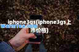 iphone3gs(iphone3gs上市价格)