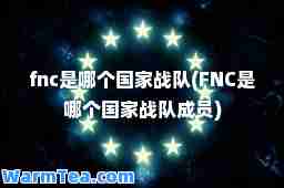 fnc是哪个国家战队(FNC是哪个国家战队成员)