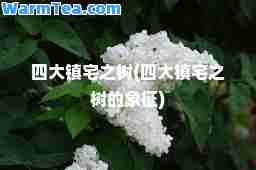 四大镇宅之树(四大镇宅之树的象征)