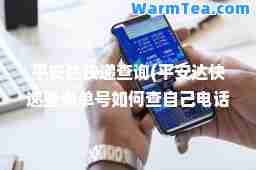 平安达快递查询(平安达快递查询单号如何查自己电话)