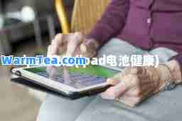 ipad电池(ipad电池健康)